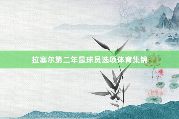 拉塞尔第二年是球员选项体育集锦